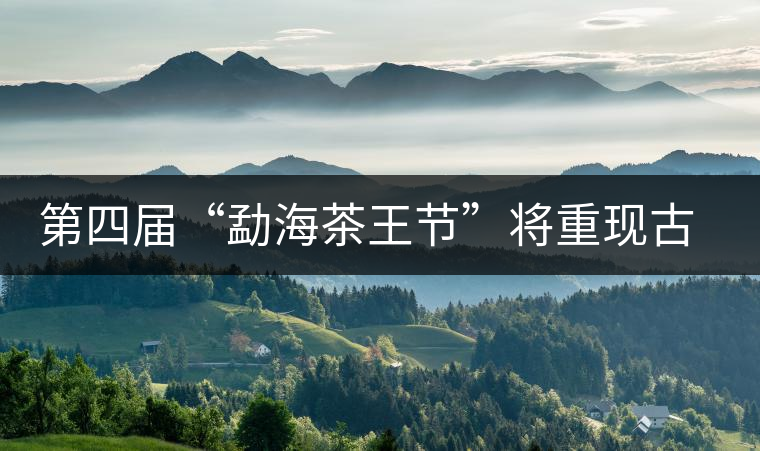 第四屆“勐海茶王節”將重現古老傳統制茶技藝