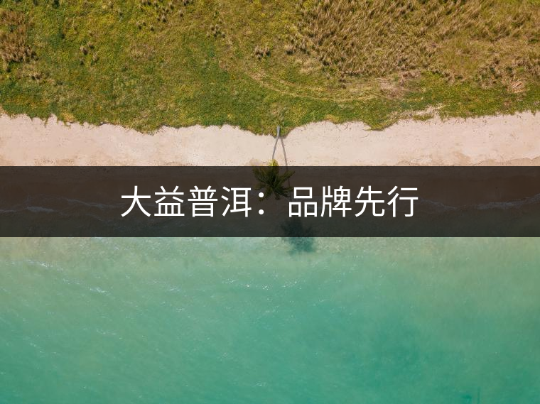 大益普洱:品牌先行 大益普洱:品牌先行