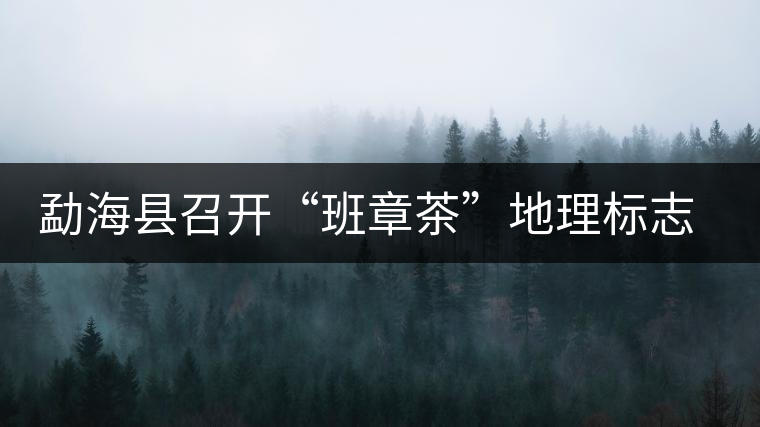 勐海縣召開“班章茶”地理標志認證評審會 勐海縣召開“班章茶”地理標志認證評審會
