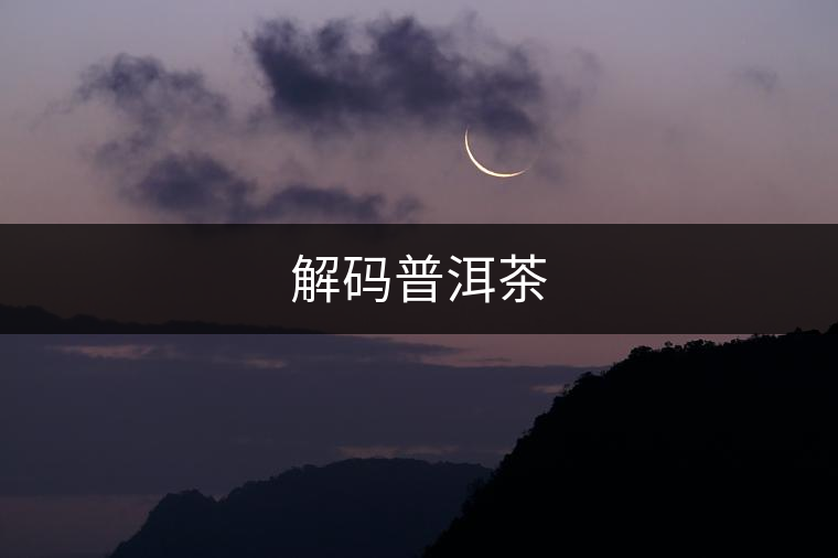 解碼普洱茶 解碼普洱茶