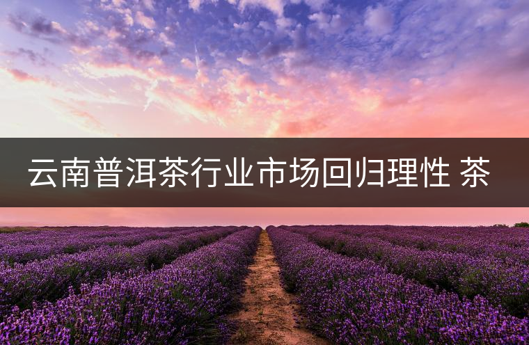 云南普洱茶行業市場回歸理性 茶商發力消費市場