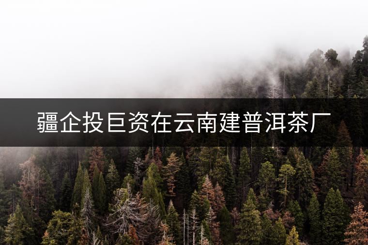 疆企投巨資在云南建普洱茶廠 疆企投巨資在云南建普洱茶廠