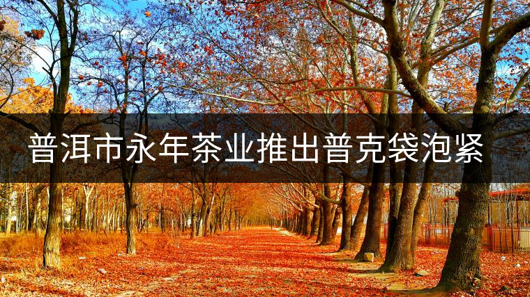 普洱市永年茶業推出普克袋泡緊壓茶 普洱市永年茶業推出普克袋泡緊壓茶