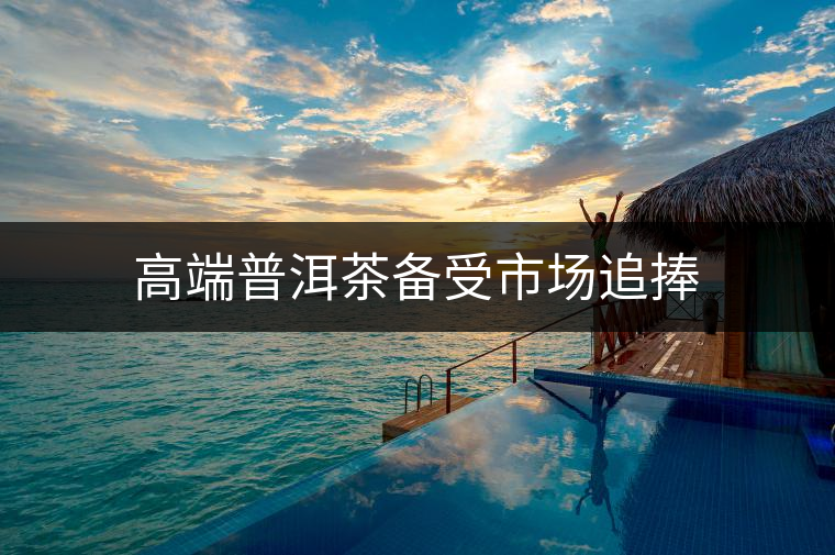 高端普洱茶備受市場追捧 高端普洱茶備受市場追捧