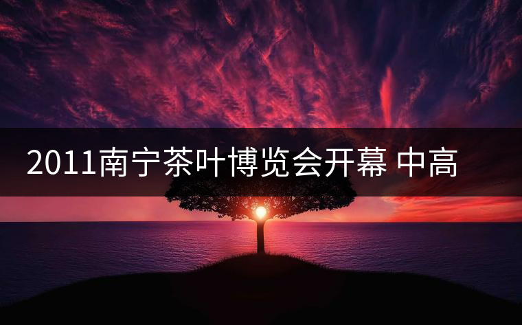 2011南寧茶葉博覽會開幕 中高檔普洱茶受追捧