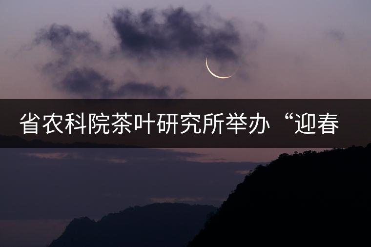 省農科院茶葉研究所舉辦“迎春節、慶元旦”籃球聯誼賽 省農科院茶葉研究所舉辦“迎春節、慶元旦”籃球聯誼賽