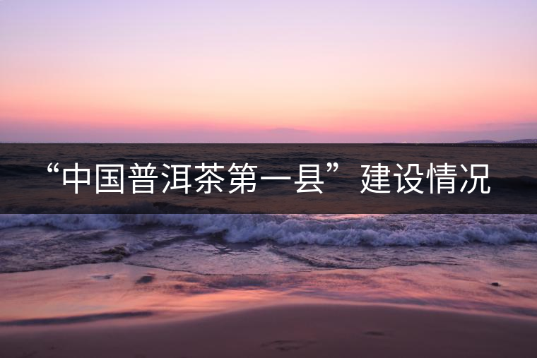 “中國普洱茶第一縣”建設(shè)情況匯報