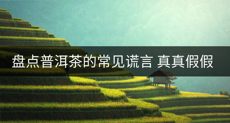 盤點普洱茶的常見謊言 真真假假 看看你認可幾條？