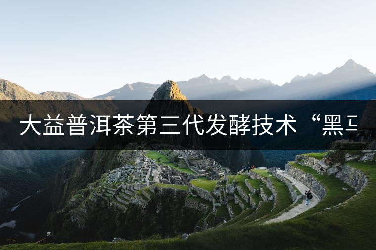 大益普洱茶第三代發酵技術“黑馬” 大益普洱茶第三代發酵技術“黑馬”