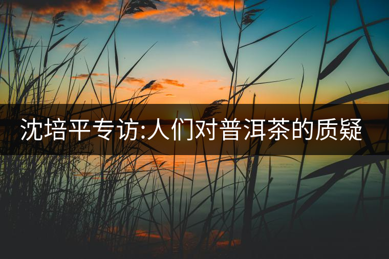 沈培平專訪:人們對普洱茶的質疑有三大好處