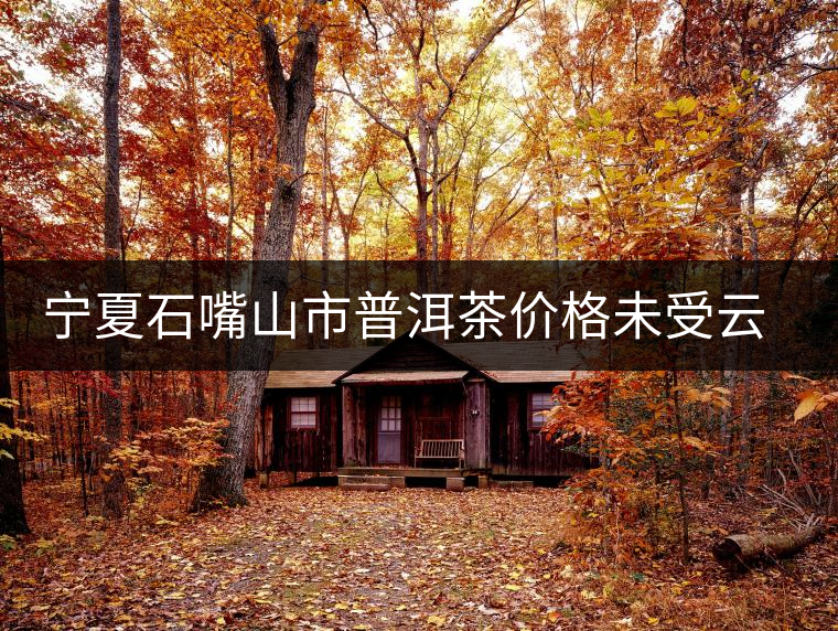 寧夏石嘴山市普洱茶價格未受云南大旱影響 寧夏石嘴山市普洱茶價格未受云南大旱影響