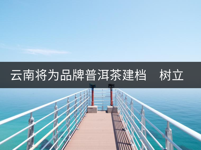 云南將為品牌普洱茶建檔 樹立產品整體形象 云南將為品牌普洱茶建檔 樹立產品整體形象