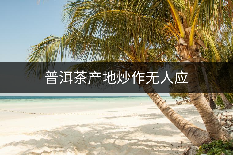 普洱茶產地炒作無人應