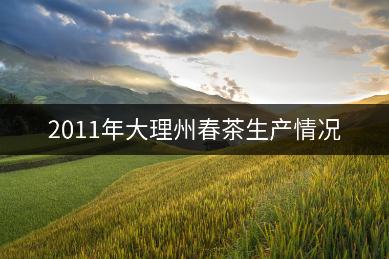 2011年大理州春茶生產情況 2011年大理州春茶生產情況