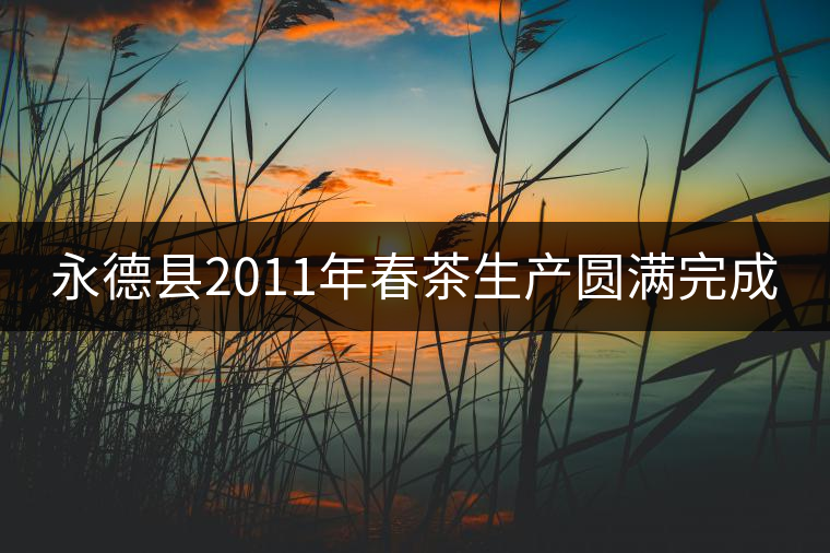 永德縣2011年春茶生產圓滿完成