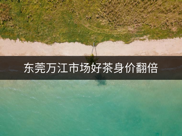 東莞萬江市場好茶身價翻倍 東莞萬江市場好茶身價翻倍