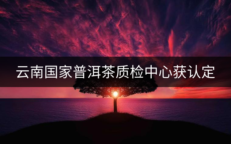 云南國家普洱茶質檢中心獲認定