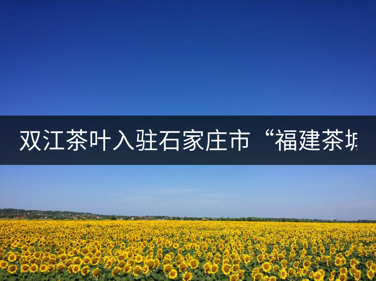 雙江茶葉入駐石家莊市“福建茶城”