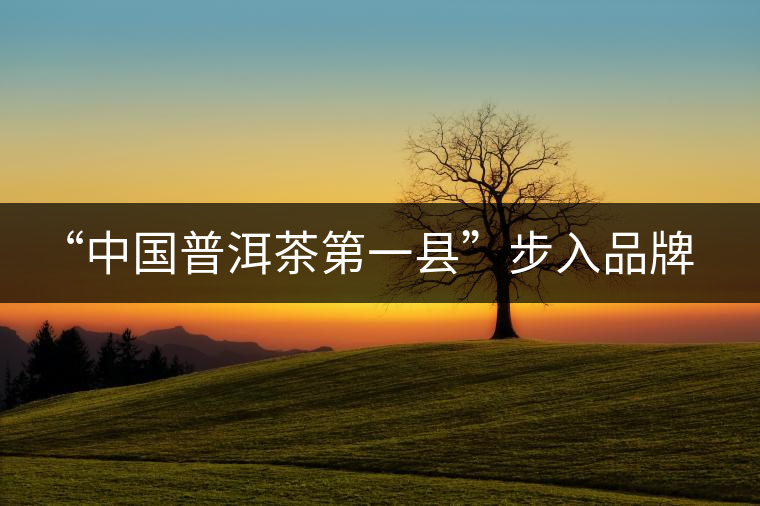 “中國普洱茶第一縣”步入品牌時代 “中國普洱茶第一縣”步入品牌時代