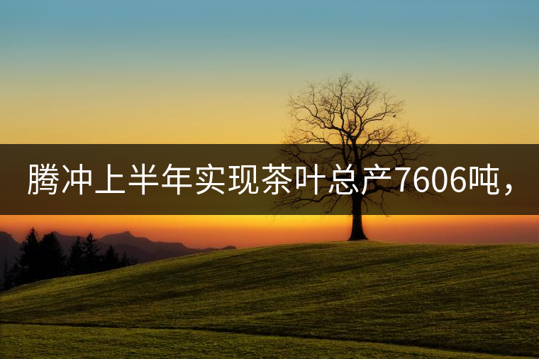 騰沖上半年實現茶葉總產7606噸，總產值5.58億元
