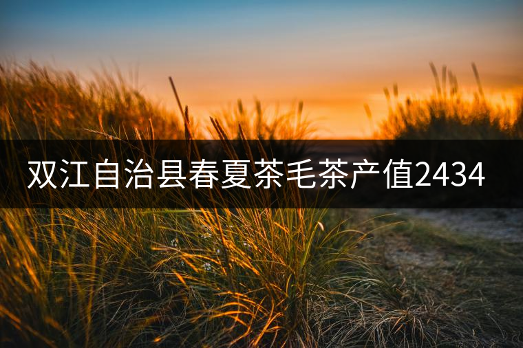 雙江自治縣春夏茶毛茶產(chǎn)值243465.12萬元,平均價(jià)穩(wěn)居全市版首 雙江自治縣春夏茶毛茶產(chǎn)值243465.12萬元,平均價(jià)穩(wěn)居全市版首