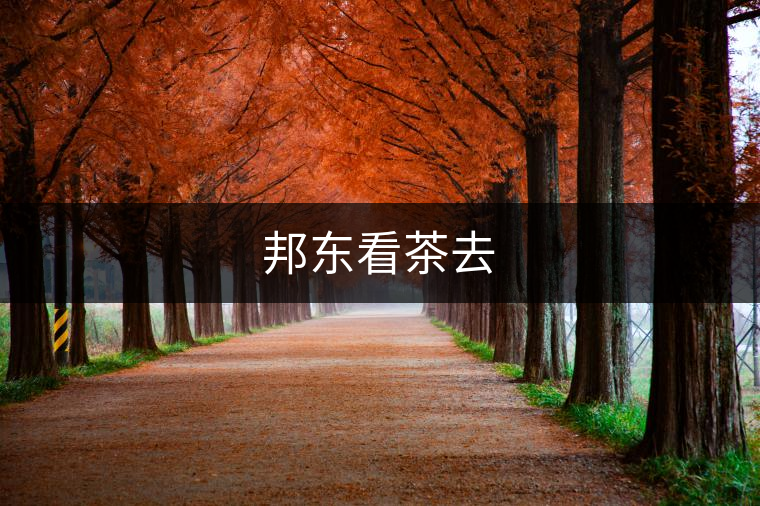 邦東看茶去 邦東看茶去