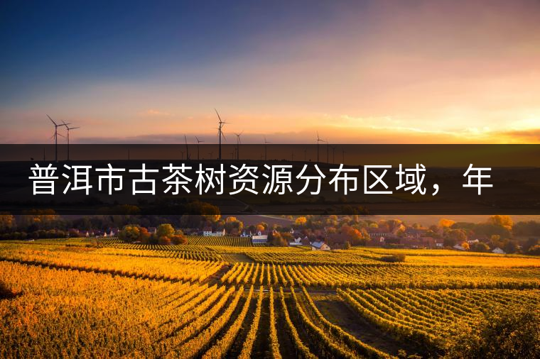 普洱市古茶樹資源分布區域，年產量多少?