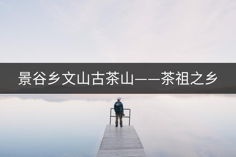 景谷鄉(xiāng)文山古茶山——茶祖之鄉(xiāng) 景谷鄉(xiāng)文山古茶山——茶祖之鄉(xiāng)