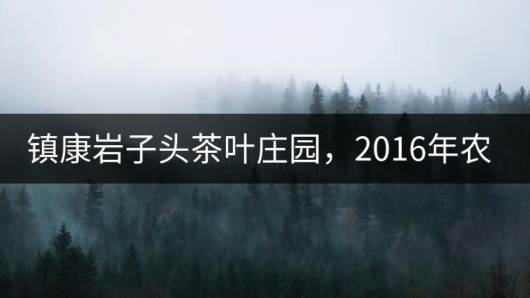 鎮康巖子頭茶葉莊園，2016年農業產值達6000余萬元