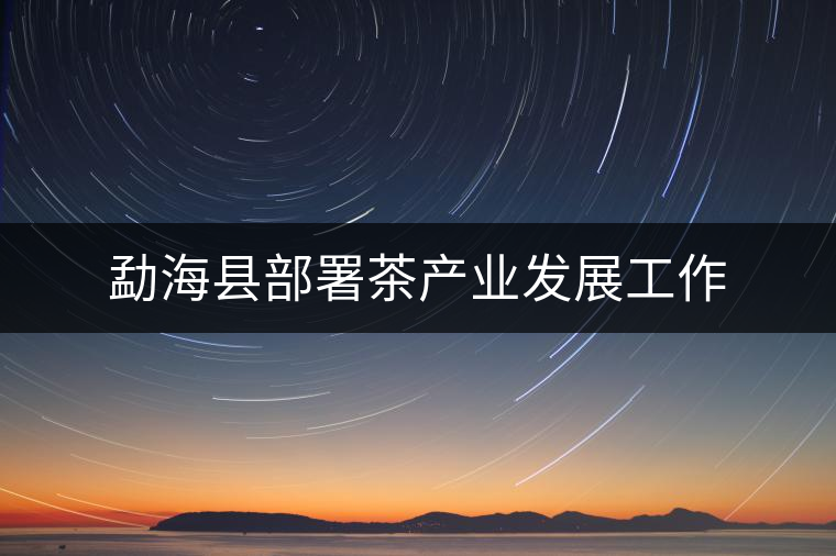 勐海縣部署茶產業發展工作 勐海縣部署茶產業發展工作