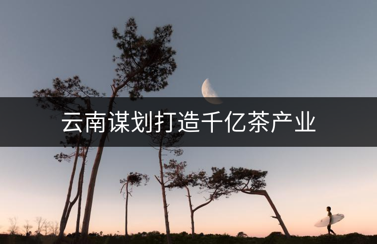 云南謀劃打造千億茶產業 云南謀劃打造千億茶產業