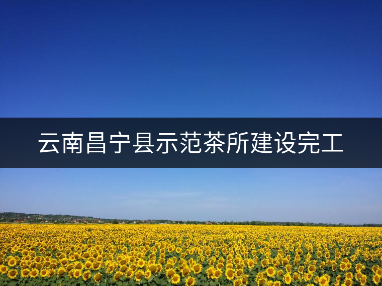 云南昌寧縣示范茶所建設完工 云南昌寧縣示范茶所建設完工