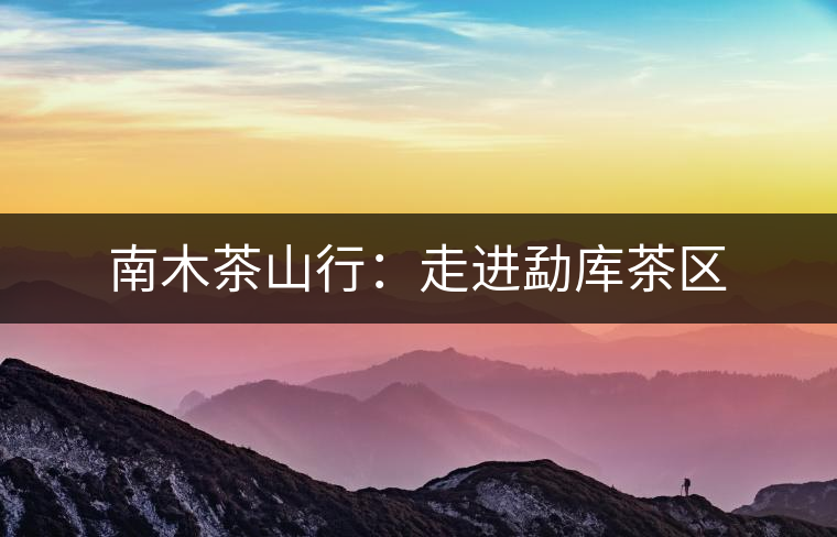 南木茶山行：走進勐庫茶區