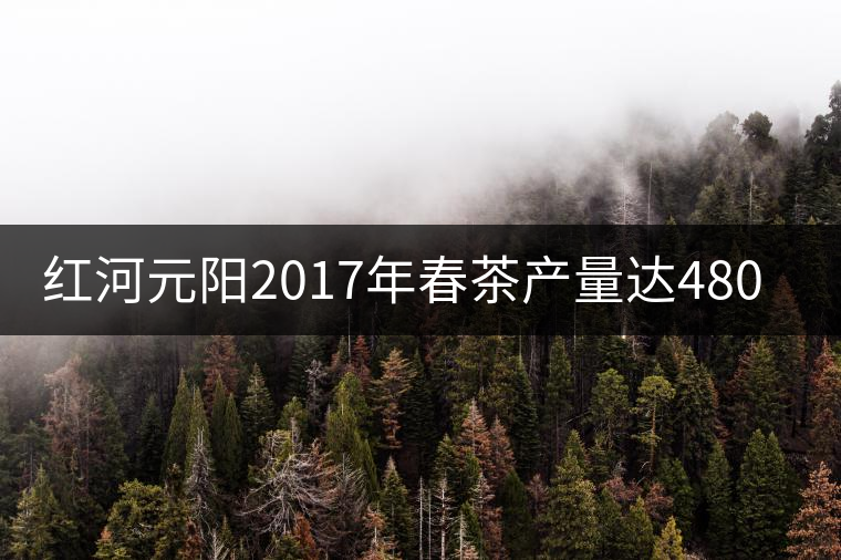 紅河元陽2017年春茶產量達480噸，產值近900萬元