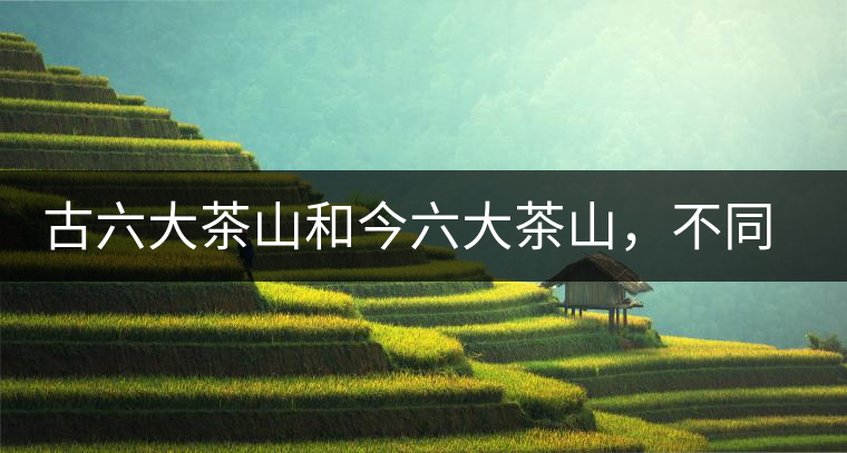 古六大茶山和今六大茶山,不同普洱茶品質(zhì) 古六大茶山和今六大茶山,不同普洱茶品質(zhì)