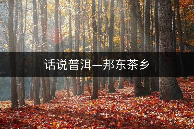 話說普洱—邦東茶鄉