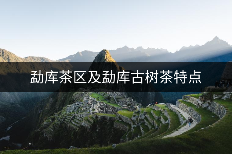 勐庫茶區及勐庫古樹茶特點 勐庫茶區及勐庫古樹茶特點