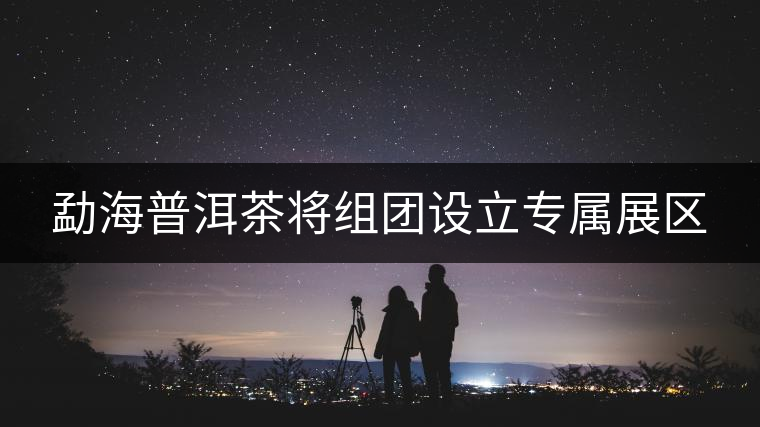 勐海普洱茶將組團設立專屬展區 勐海普洱茶將組團設立專屬展區