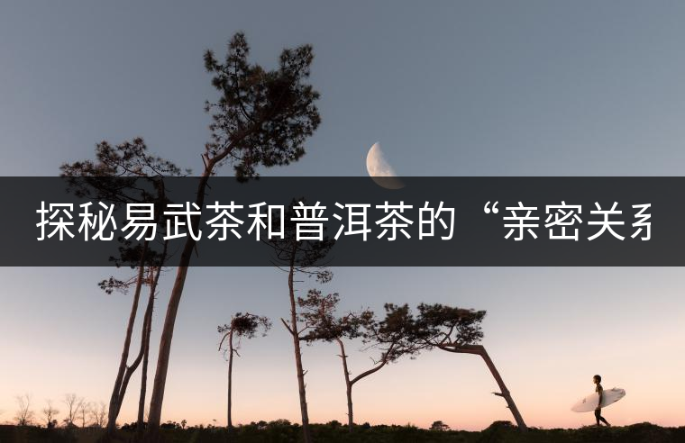 探秘易武茶和普洱茶的“親密關系”