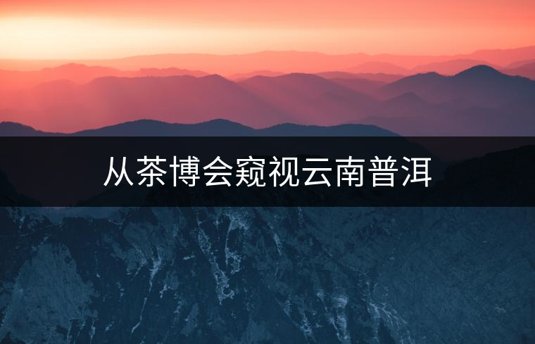 從茶博會窺視云南普洱 從茶博會窺視云南普洱