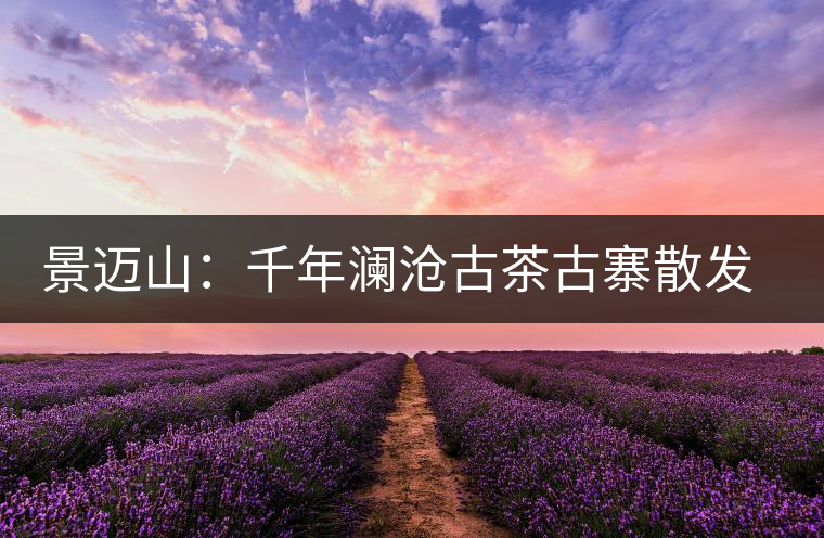 景邁山：千年瀾滄古茶古寨散發醇厚余香