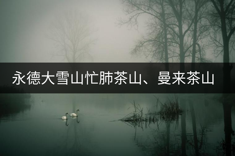 永德大雪山忙肺茶山、曼來茶山、放牛場茶園的生態(tài)指數(shù) 永德大雪山忙肺茶山、曼來茶山、放牛場茶園的生態(tài)指數(shù)