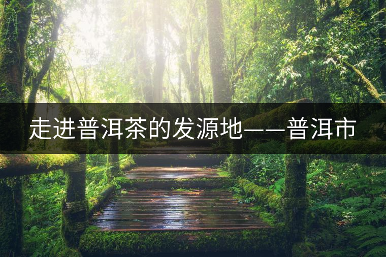 走進普洱茶的發源地——普洱市