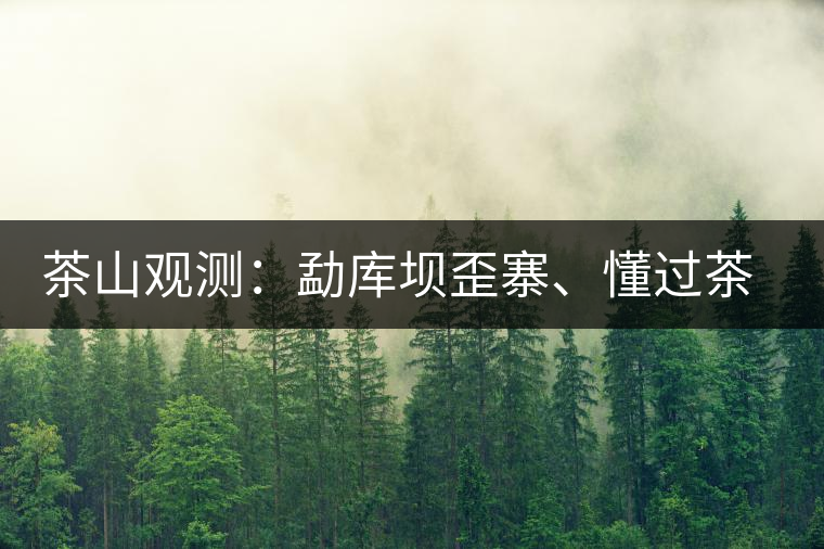 茶山觀測:勐庫壩歪寨、懂過茶山、大戶寨等茶山的生態(tài)指數(shù) 茶山觀測:勐庫壩歪寨、懂過茶山、大戶寨等茶山的生態(tài)指數(shù)