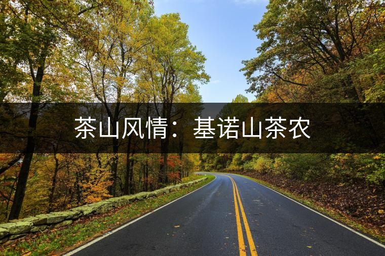 茶山風情：基諾山茶農