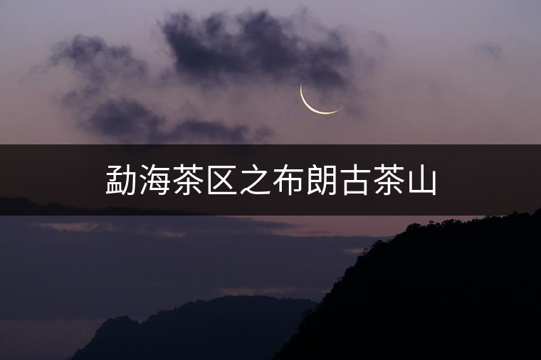 勐海茶區之布朗古茶山