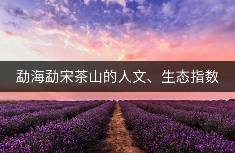 勐海勐宋茶山的人文、生態(tài)指數(shù)