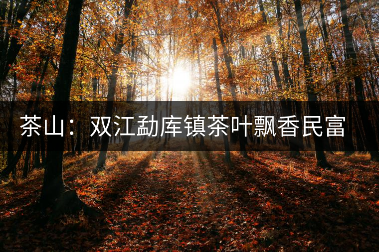 茶山:雙江勐庫鎮茶葉飄香民富裕 茶山:雙江勐庫鎮茶葉飄香民富裕