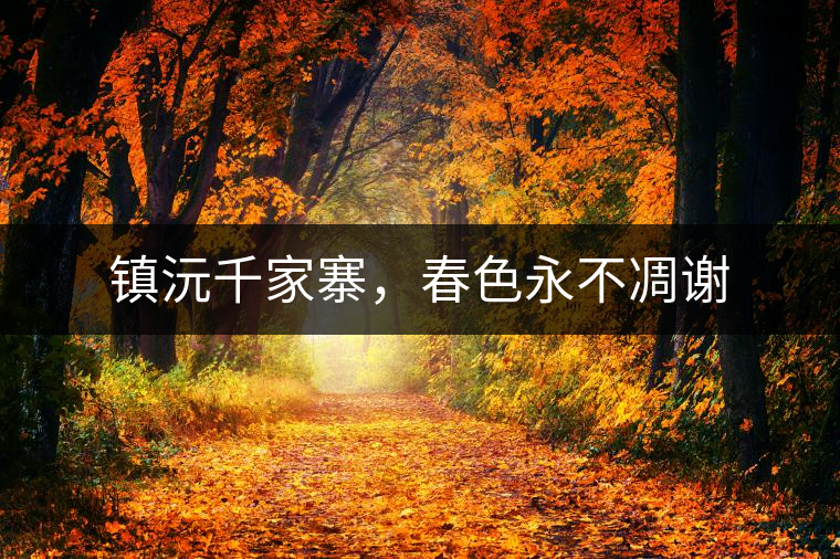 鎮沅千家寨，春色永不凋謝