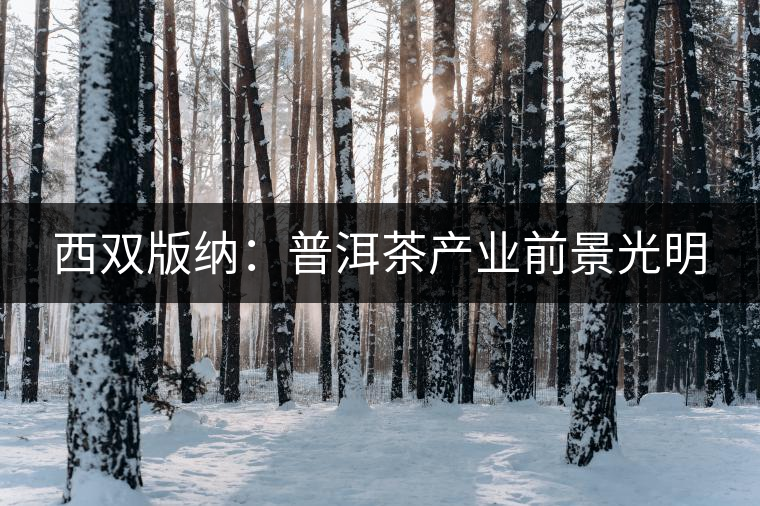 西雙版納:普洱茶產業前景光明 西雙版納:普洱茶產業前景光明